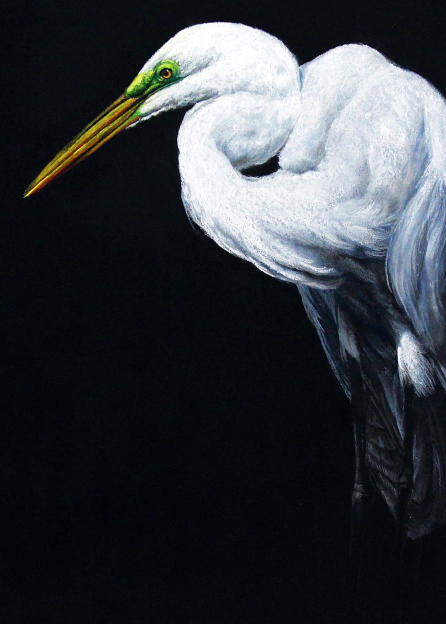 egret | pastel