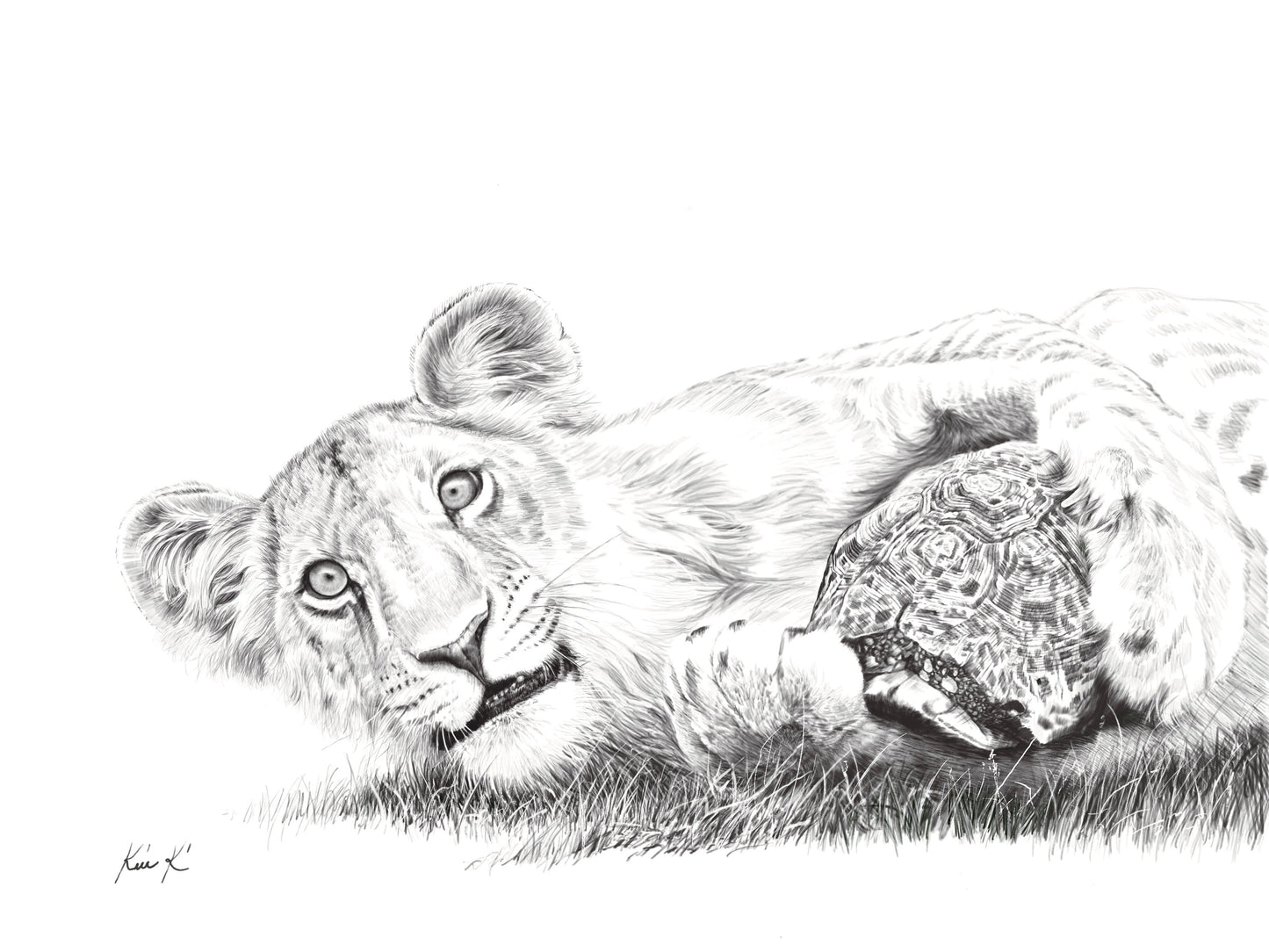 lion and tortoise | pen & ink