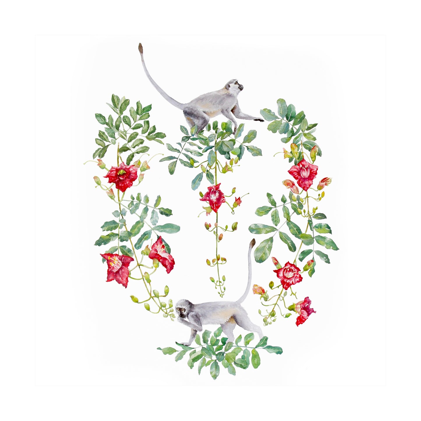 kigelia & monkeys | watercolour