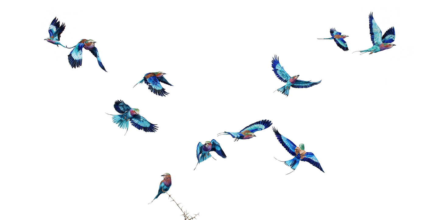 lilac breasted rollers | oil on canvas