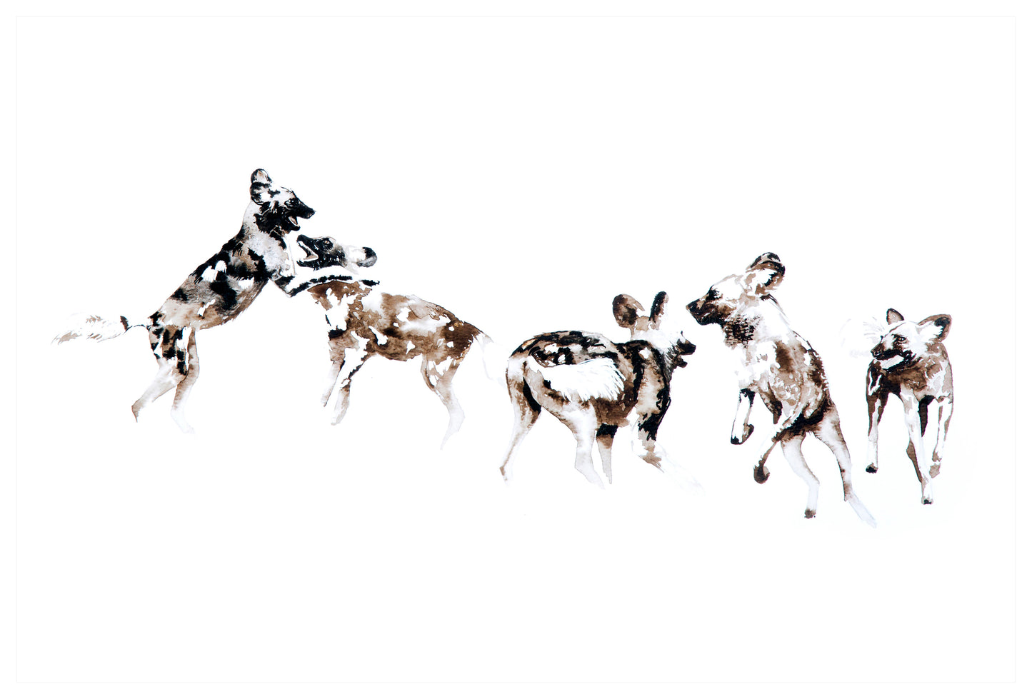 wild dog pack | watercolour