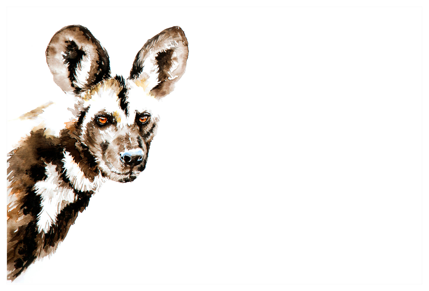 wild dog portrait | watercolour