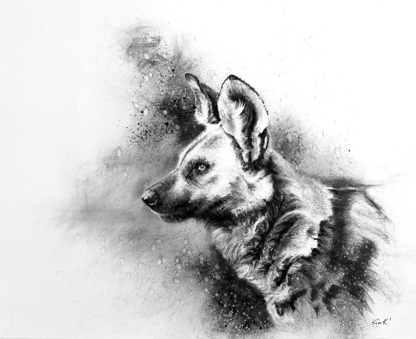 wild dog | charcoal