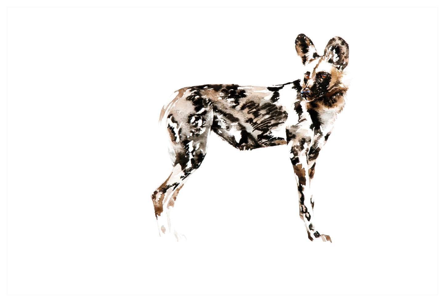 wild dog standing | watercolour