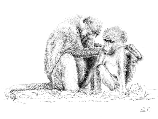 baboon grooming | pen & ink