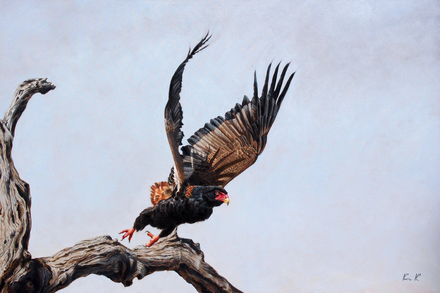 bateleur    |    oil on canvas