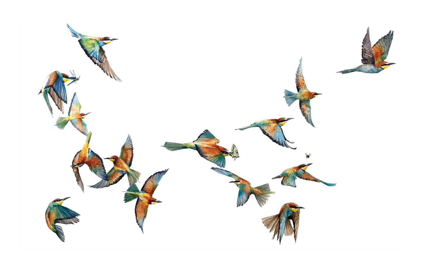 european bee eaters | watercolour