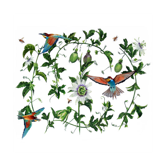 passionfruit vines & bee eaters | watercolour