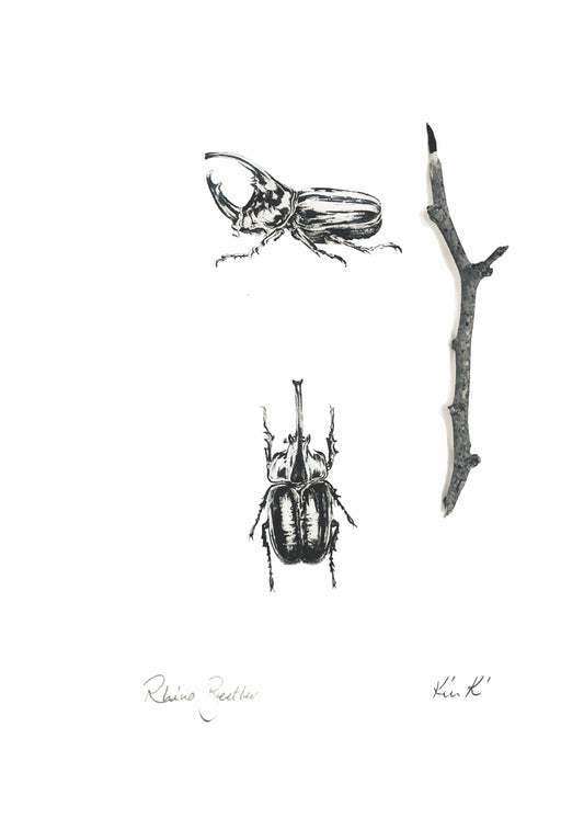 rhino beetles | indian ink