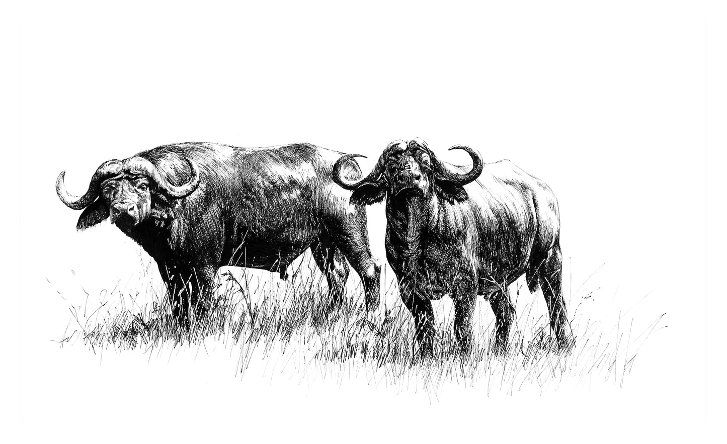 'dagga boys' | pen & ink