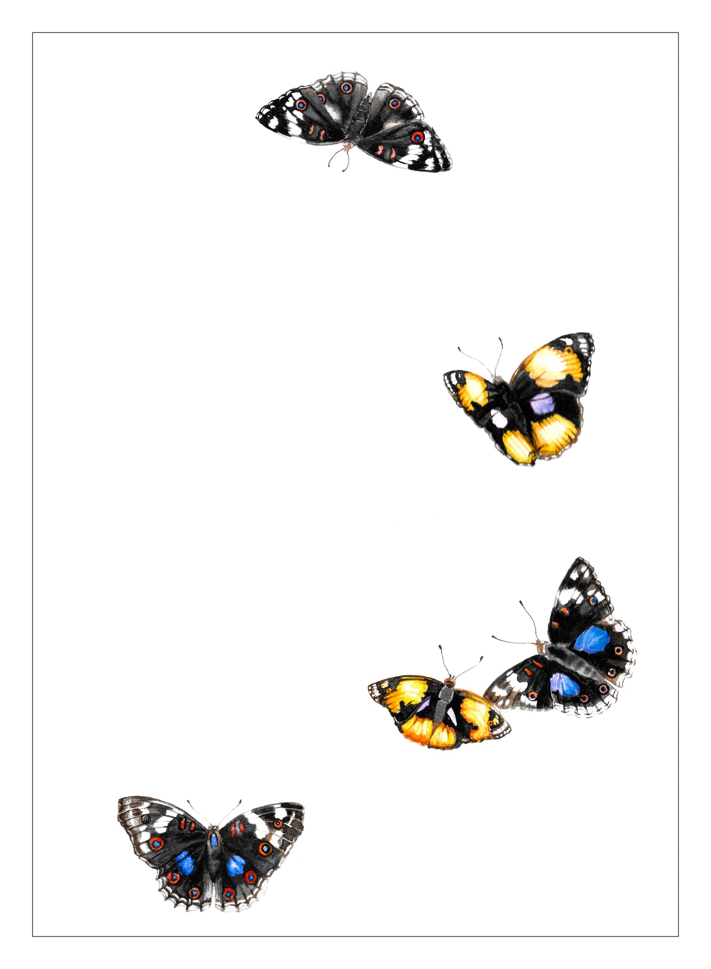 pansy butterflies | watercolour