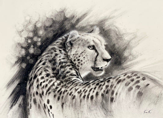 cheetah     |     charcoal on paper