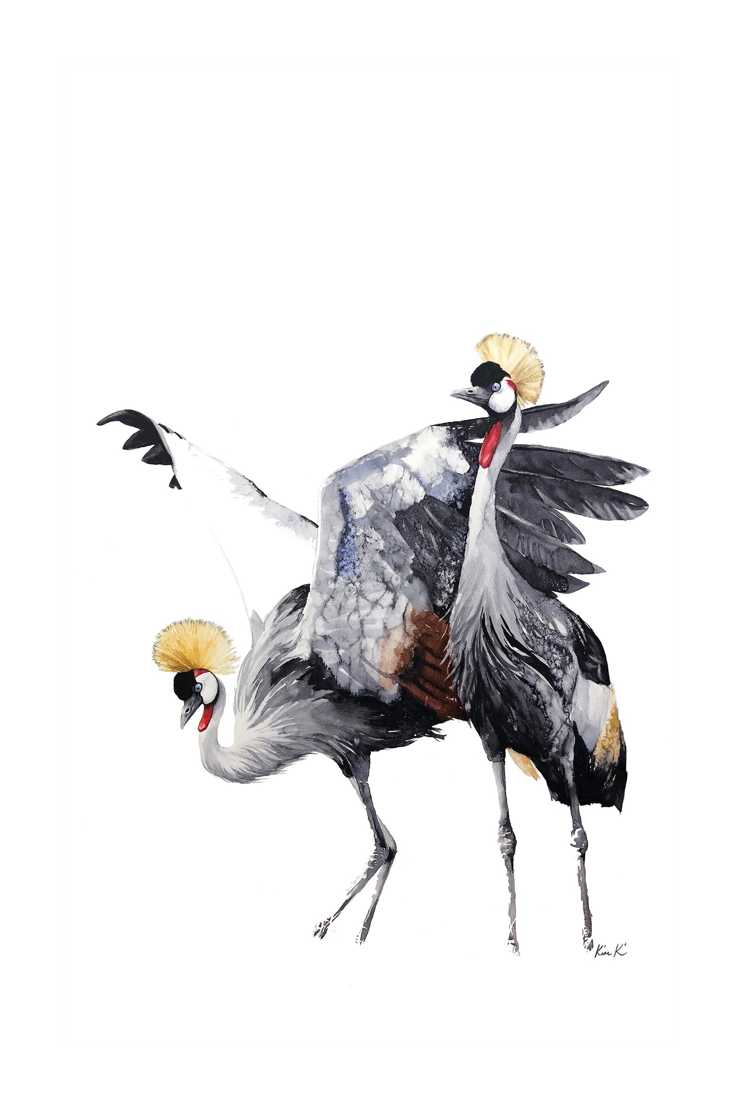 crowned crane | watercolour