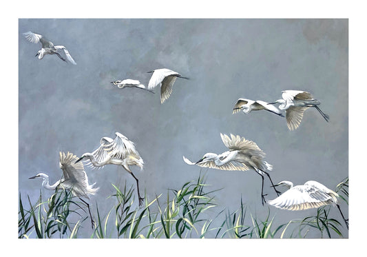 egrets & reed bed | oil on canvas