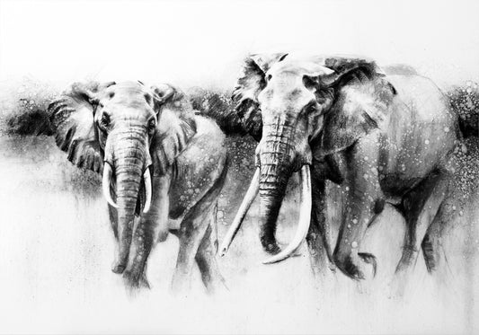 elephant family | charcoal