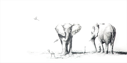 ele teenager - kariba | graphite