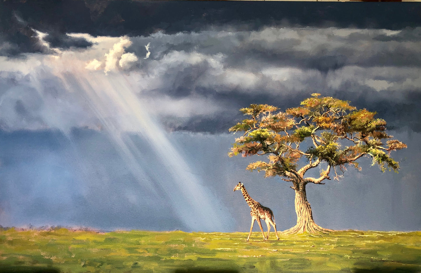 giraffe on the plains | oil on canvas