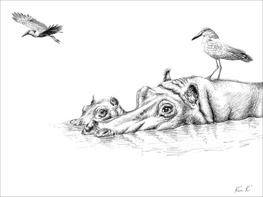 hippo and hammerkop | pen & ink