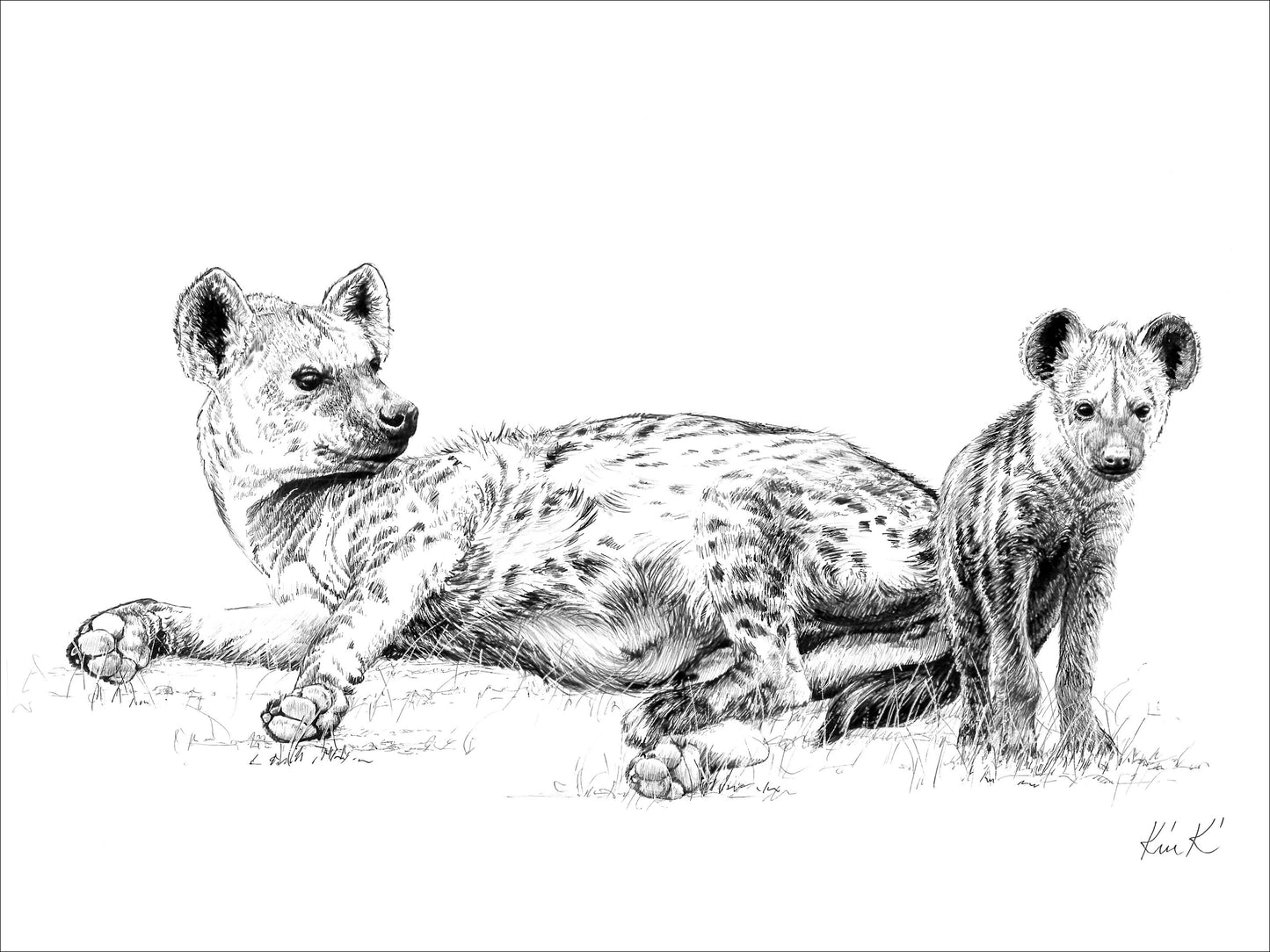 hyena and pup | pen & ink