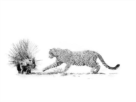 leopard and porcupine | indian ink