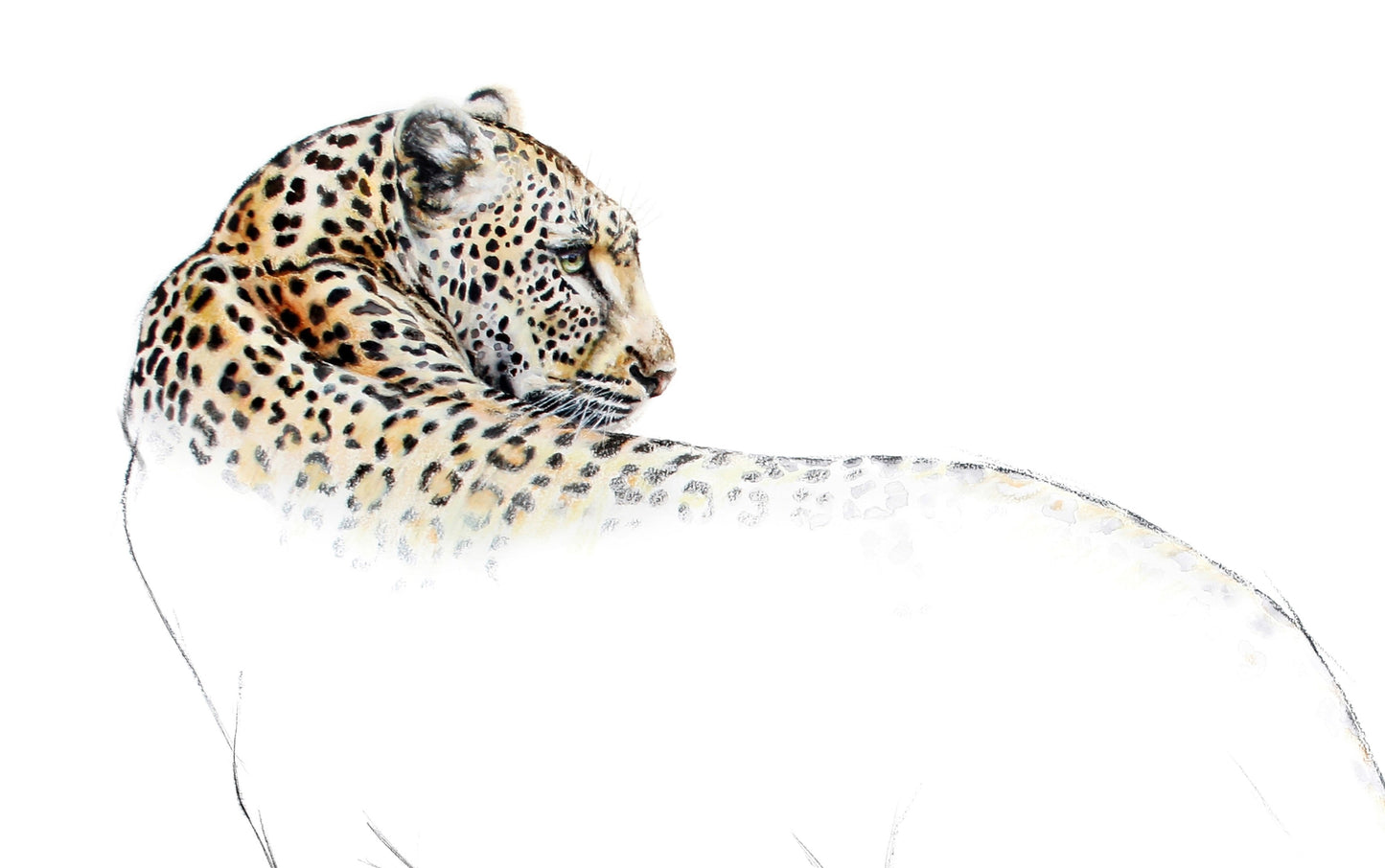 leopard | watercolour & pastel on fabriano paper