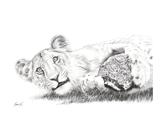 lion and tortoise | pen & ink