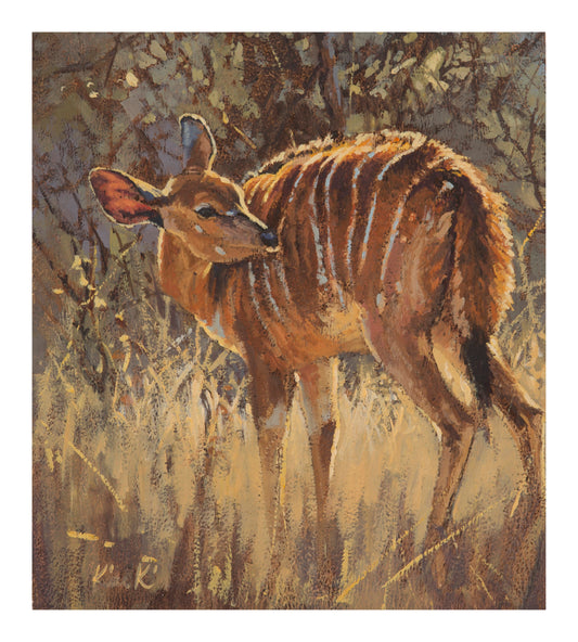 nyala ewe | oil on canvas