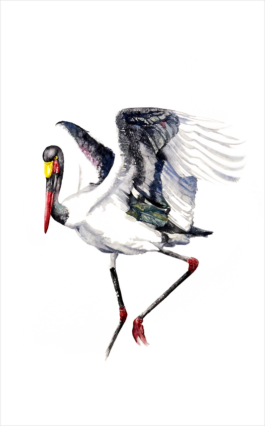saddle billed stork II | watercolour & ink