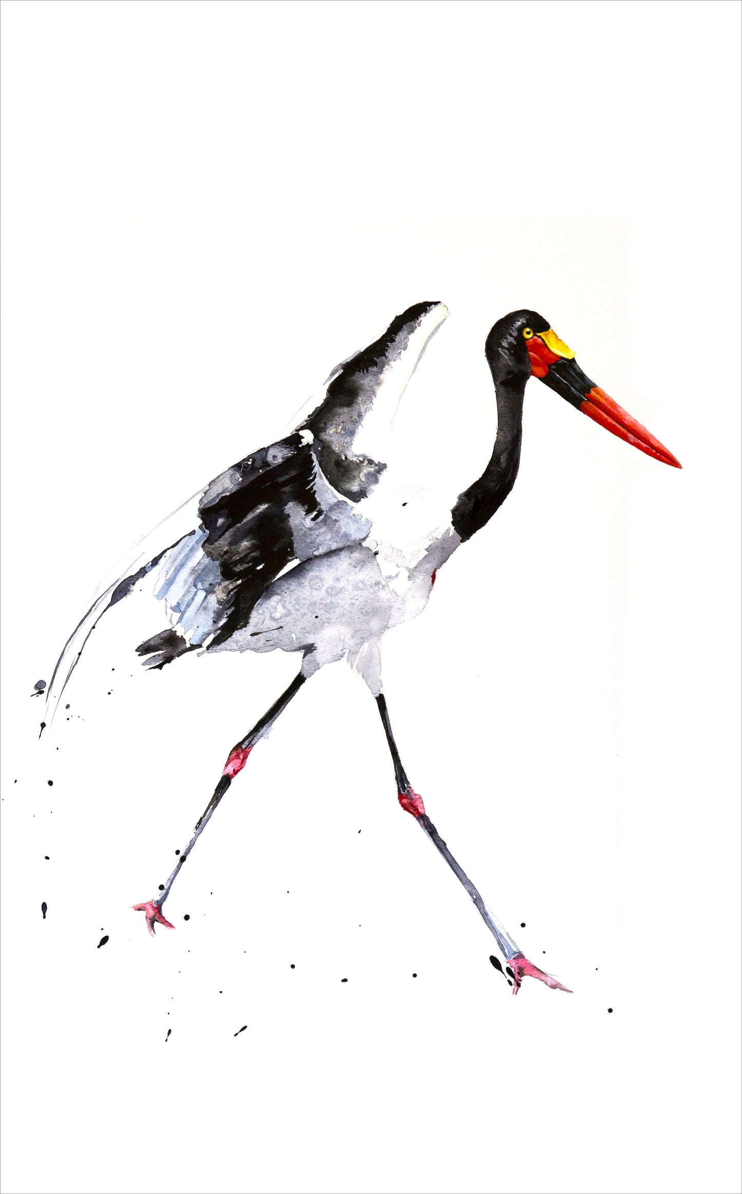 saddle billed stork III | watercolour & ink