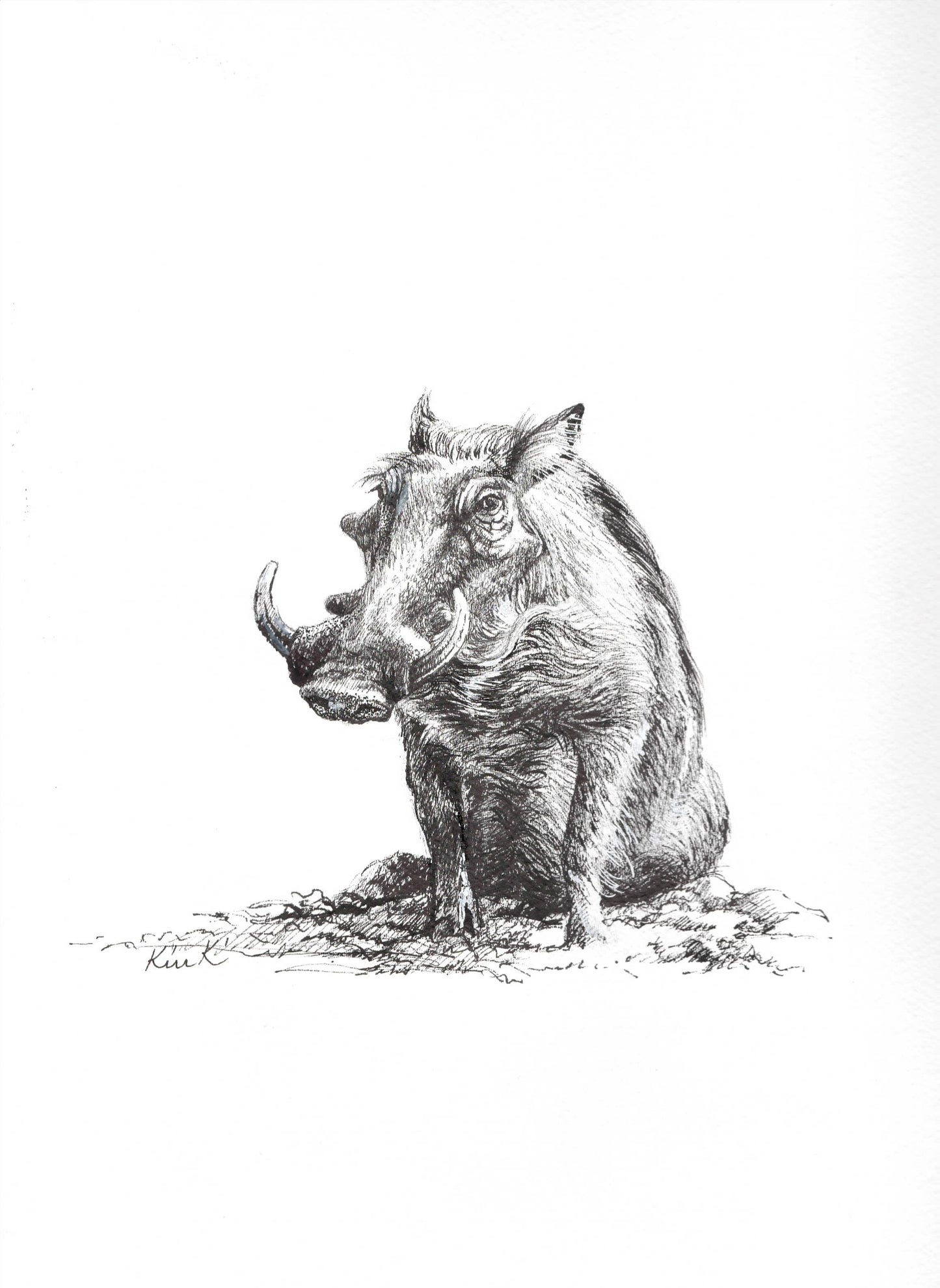 warthog tusker ll  |  graphite