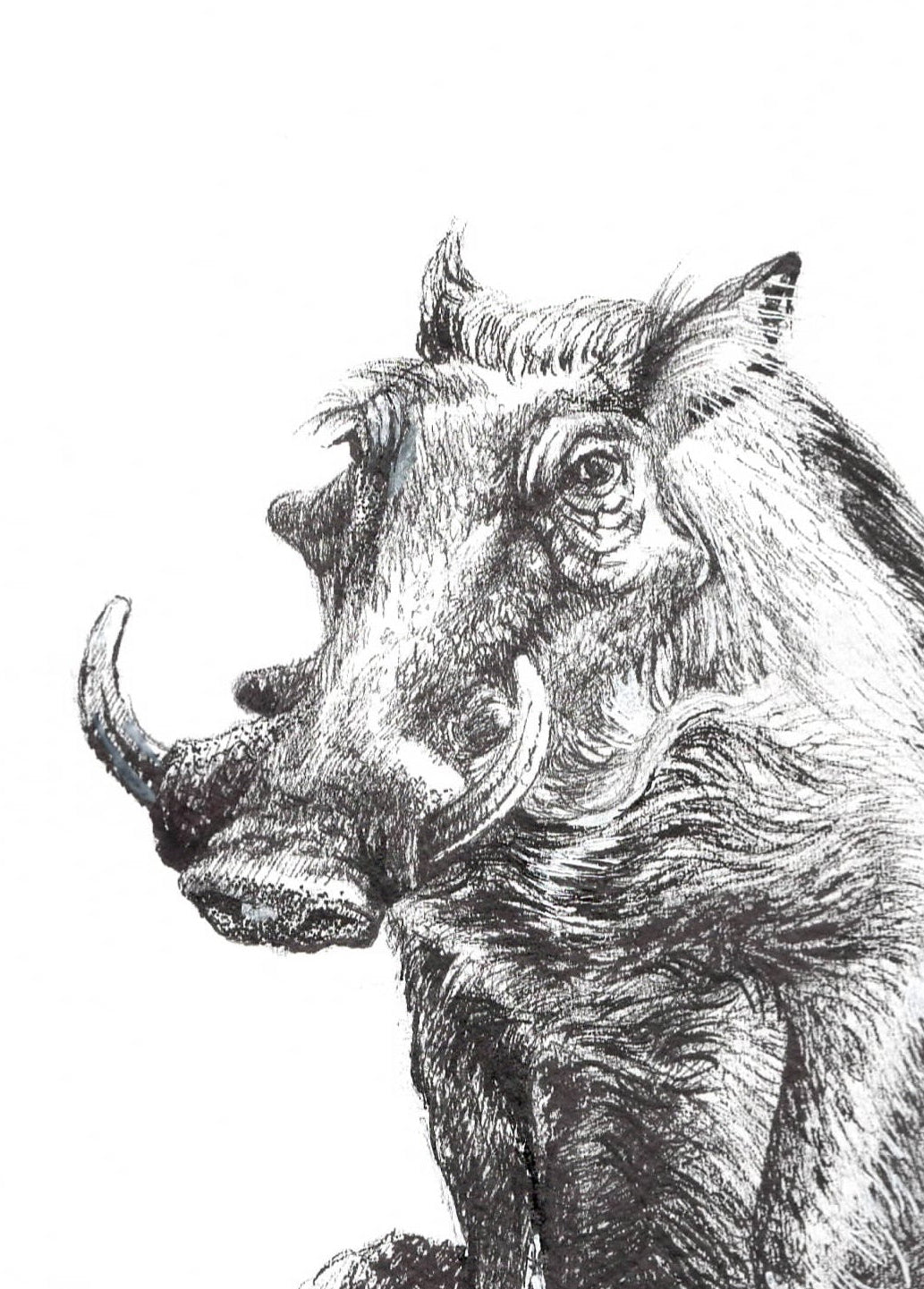 warthog tusker ll  |  graphite