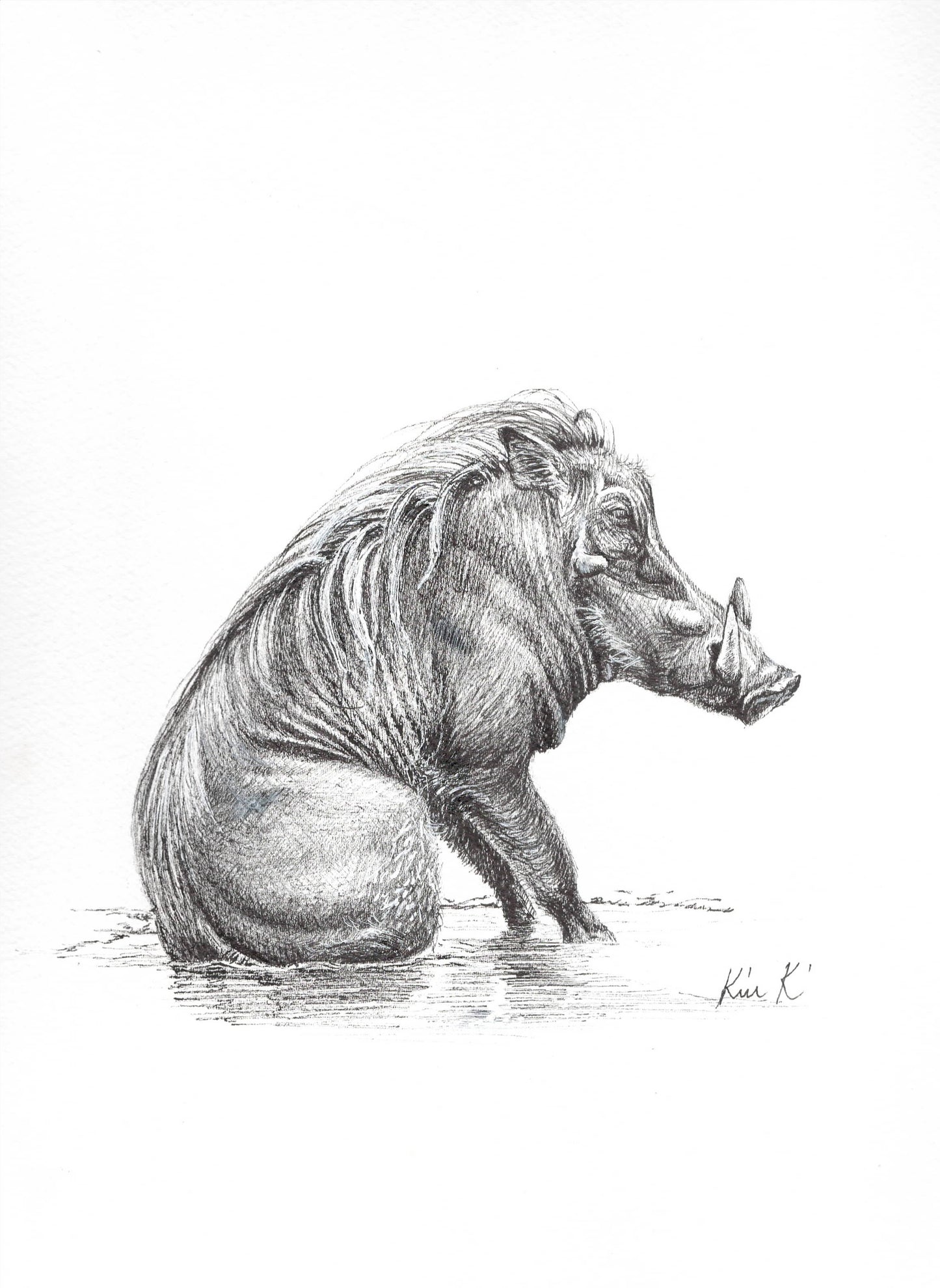 warthog tusker l  |  graphite
