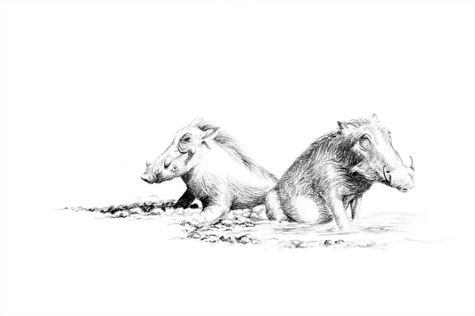 warthog 'wallowing pair' | graphite