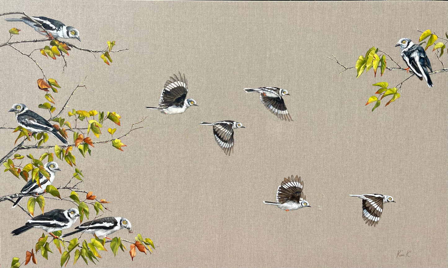 white crested helmet shrikes | oil on Belgian linen