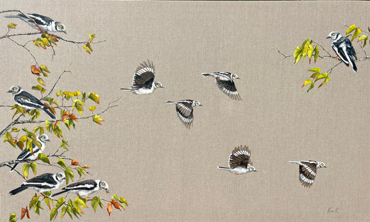 white crested helmet shrikes | oil on Belgian linen