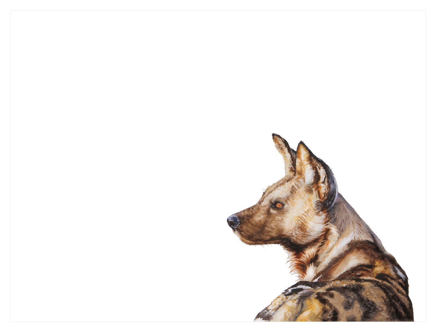 wild dog back and side | watercolour