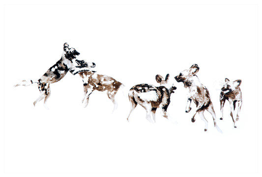 wild dog pack | watercolour