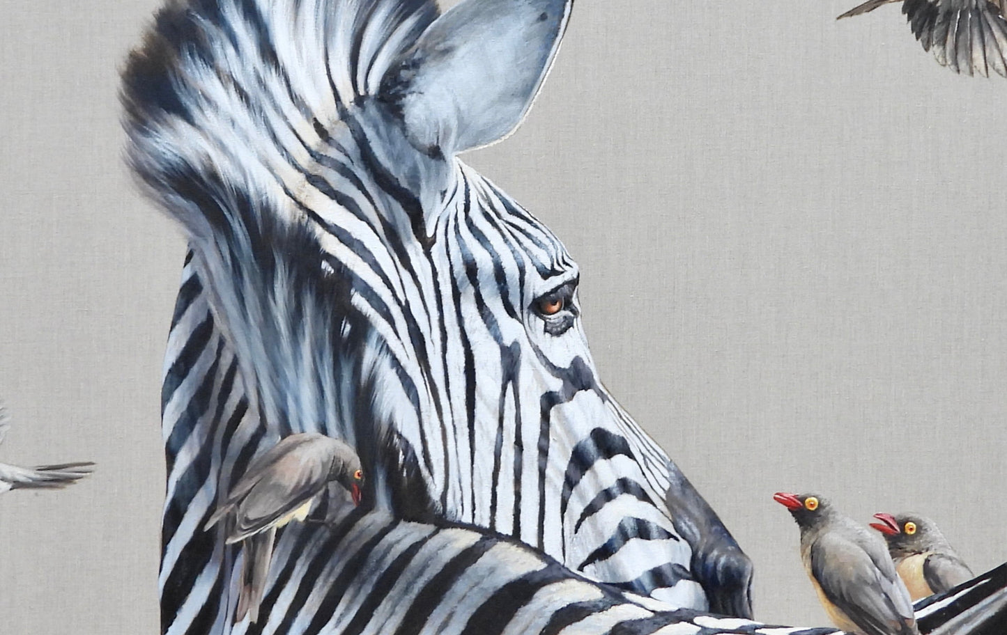 zebra & oxpeckers     |    oil on belgian linen
